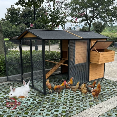 赤峰宠物笼子厂家电话多少号-第1张图片