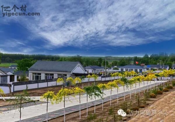 赤峰天山口镇鸡粪厂电话多少-第1张图片