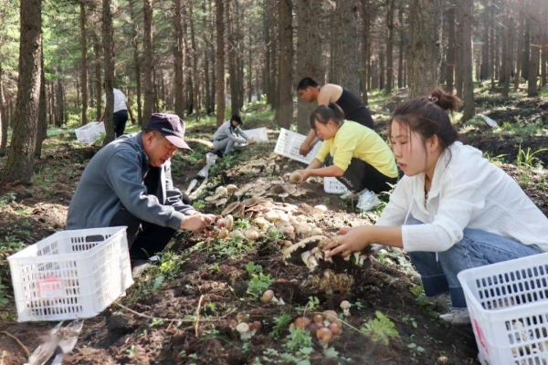赤峰南山果树基地电话多少号-第1张图片
