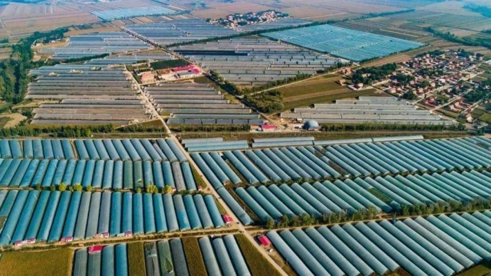 赤峰24小时针灸店电话号码-第1张图片