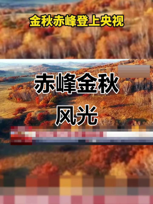赤峰振阳商贸公司地址电话号码-第1张图片