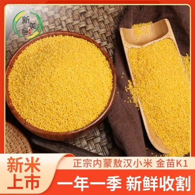 赤峰市打黄扫非电话号码-第1张图片
