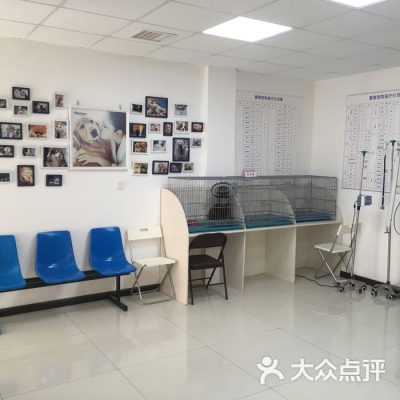 赤峰宠物医院团购电话号码-第1张图片