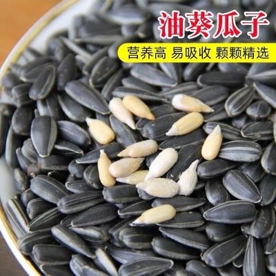 赤峰小黑瓜籽种植基地电话号码-第1张图片