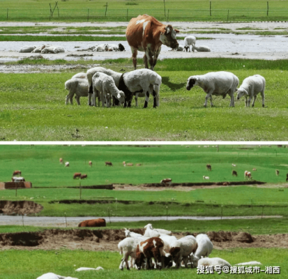 赤峰哈曼国际娱乐电话号码查询-第1张图片