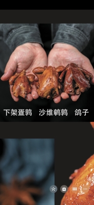 赤峰养鹌鹑厂家电话号码查询-第1张图片