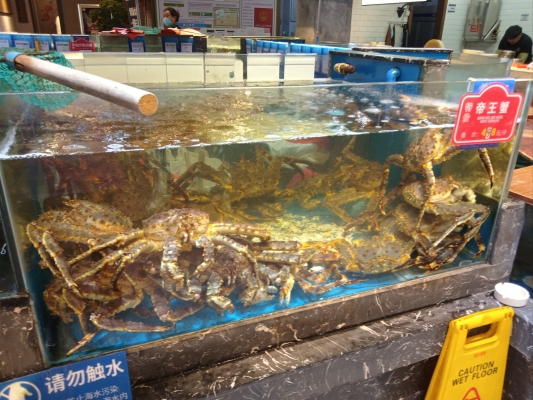 赤峰船歌鱼水饺店电话多少号-第1张图片