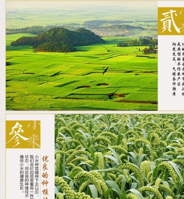 赤峰母液厂家电话号码查询是多少-第1张图片