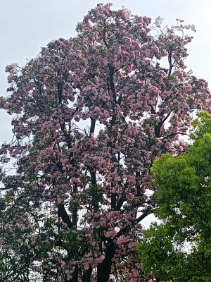 赤峰梧桐花镇水泥厂电话号码-第1张图片