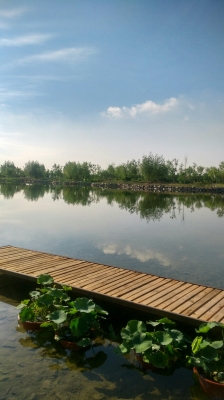 赤峰林东镇租车电话多少号-第1张图片