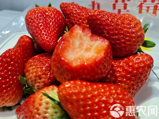 赤峰草莓团购电话多少号码-第1张图片