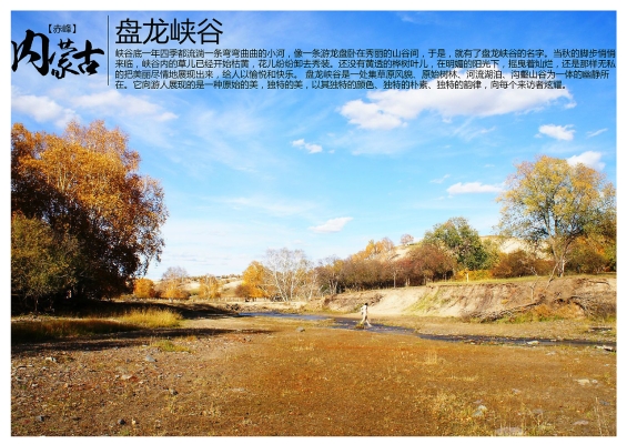 赤峰收购曲麻菜厂家电话号码-第1张图片