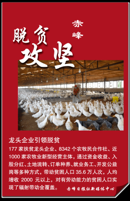 赤峰美食直播团购平台电话号码-第1张图片