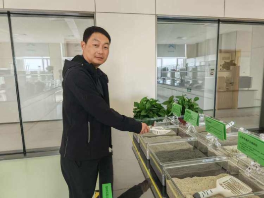 赤峰宁城猫砂出口电话号码查询-第1张图片