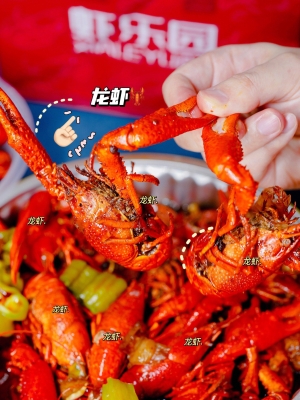 赤峰活虾配送公司电话多少号-第1张图片