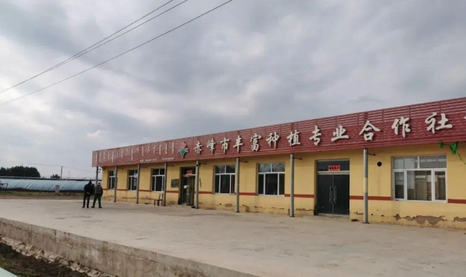 赤峰人工饲草种植基地电话号码-第1张图片