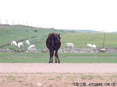 赤峰去北京的长途车电话是多少-第1张图片