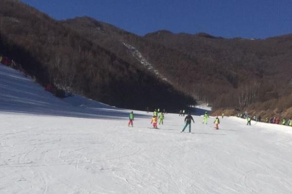 赤峰米林滑雪场电话号码多少-第1张图片