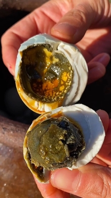 赤峰卖臭鸭蛋的电话号码是多少-第1张图片