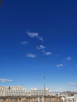 赤峰林东托儿所地址电话号码-第1张图片