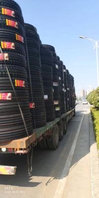 赤峰附近蝈蝈批发市场电话号码-第1张图片
