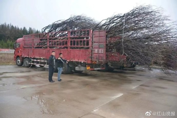 赤峰好用挖沟机厂家电话号码-第1张图片