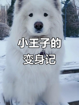 天津到赤峰客运专线电话号码-第1张图片