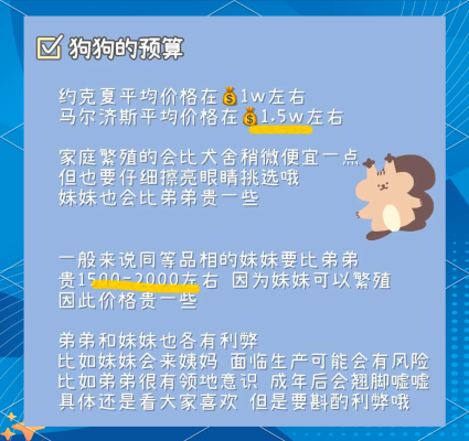 赤峰约克夏犬舍电话地址查询-第1张图片