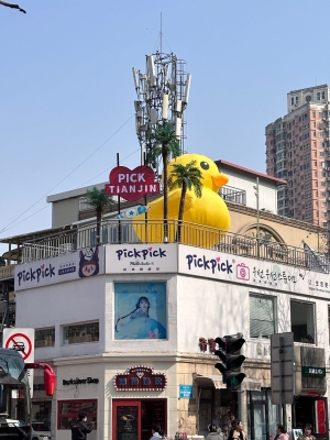 赤峰复古照相馆电话号码多少-第1张图片