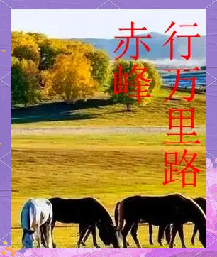 赤峰烽通旅馆电话多少号码-第1张图片