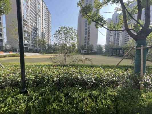 赤峰公共篮球场新城店电话号码-第1张图片