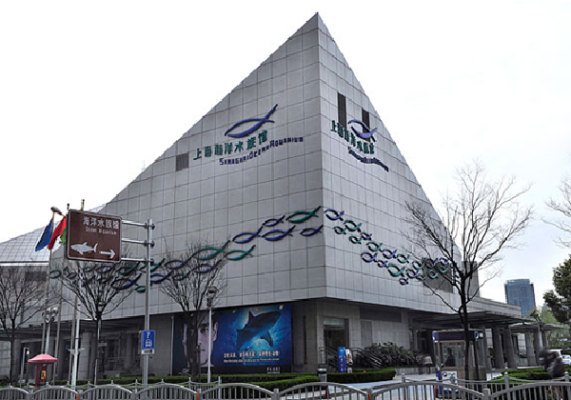 赤峰雨润水族馆电话多少号-第1张图片
