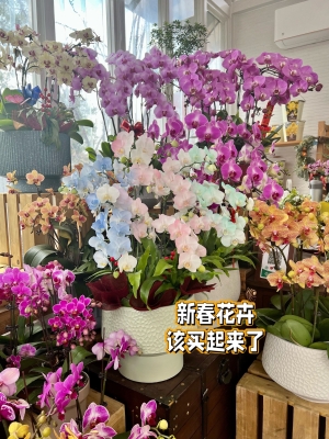 赤峰新天地鲜花店电话号码-第1张图片