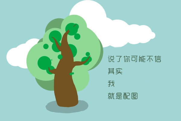 赤峰古装租售网电话多少号-第1张图片