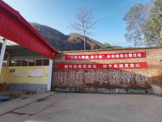 赤峰冻青收购电话号码查询地址-第1张图片