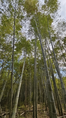 赤峰锦山照相馆地址电话号码-第1张图片