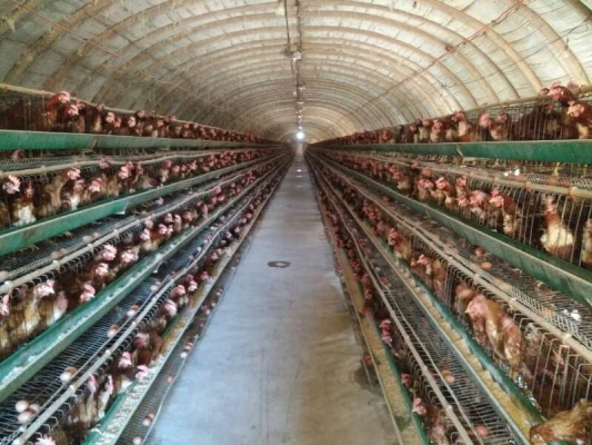 赤峰豆油罐供应商电话地址查询-第1张图片