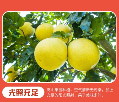 赤峰红柚团购电话号码查询-第1张图片