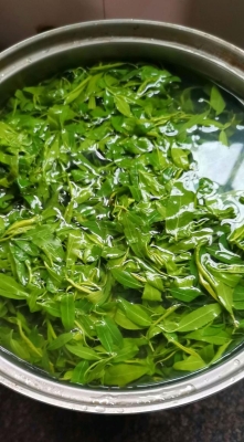 赤峰市收购柳树芽的电话号码-第1张图片