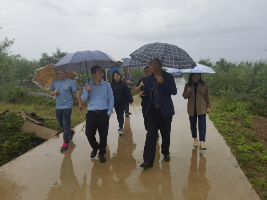 赤峰到苍溪县物流电话号码-第1张图片