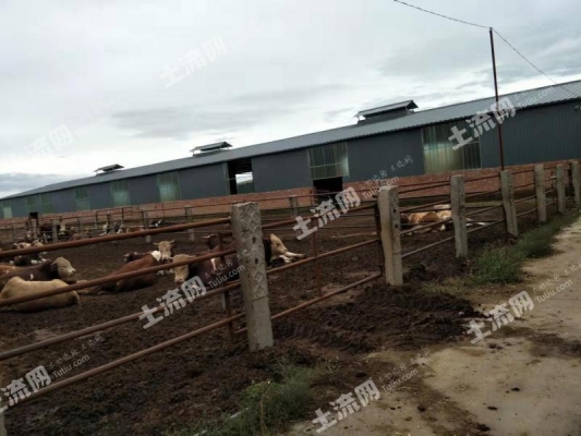 赤峰养殖用品批发市场电话号码-第1张图片