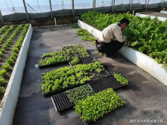 赤峰平庄钢筋加工厂电话号码-第1张图片