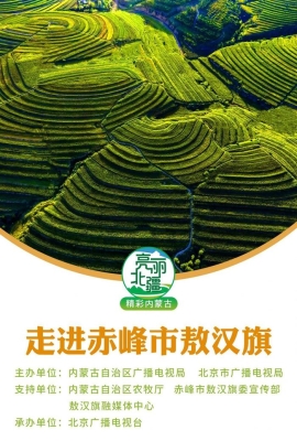 赤峰敖都理发店地址电话号码-第1张图片