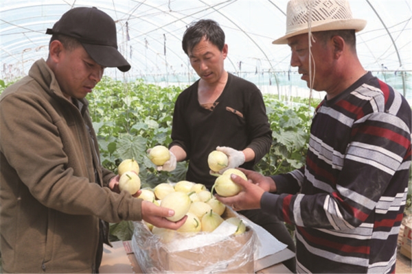 赤峰采摘葡萄酒的地方电话号码-第1张图片
