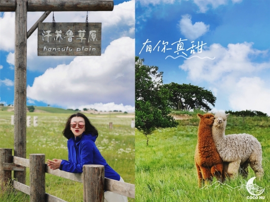 赤峰蒙古包草原酒店电话号码-第1张图片