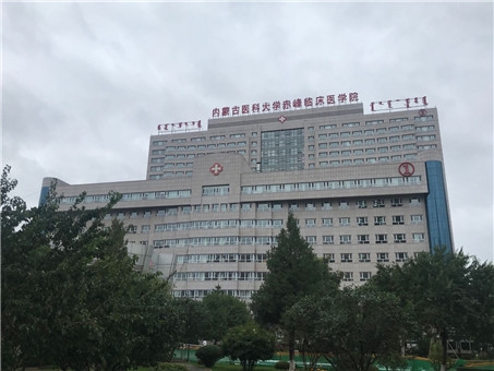 内蒙古赤峰征兵电话号码是多少-第1张图片