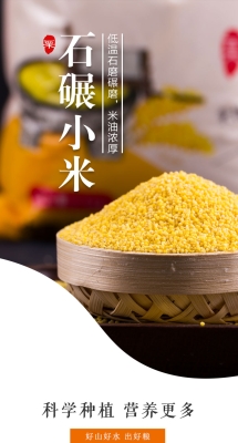 赤峰附近制袋厂电话多少号-第1张图片
