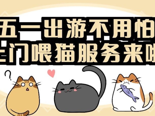 赤峰有上门喂猫的吗电话号码-第1张图片
