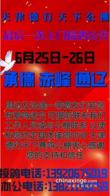 赤峰烤鸽子店电话多少号码-第1张图片