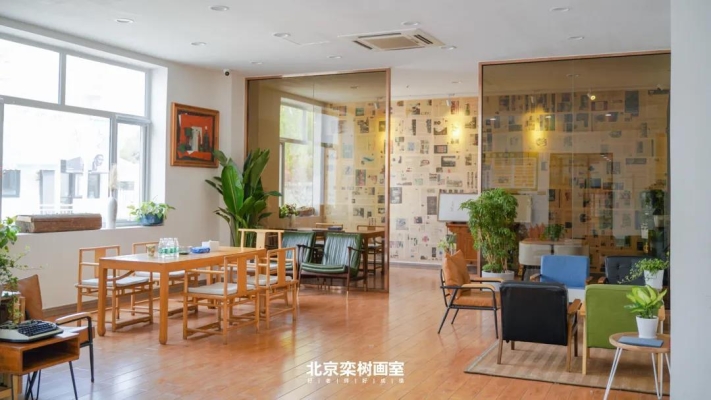 栾树画室的学费-第1张图片